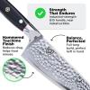 Dalstrong Chef Knife – 8 inch Blade – AUS-10V Japanese Steel – Full Tang – Black G10 Handle – Chef’s Knife – Shogun Series ELITE – Razor Sharp Kitchen – Professional Premium Sheath(.Elite Black)
