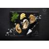 Dalstrong Professional Oyster Knife – 3.5 inch – Shogun Series Elite – Clam and Shellfish Shucking Knife – Japanese AUS-10V Super Steel – G10 Handle – Cooking Fish Kitchen Knife – Sheath Included