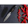 Dalstrong Paring Knife – 4 inch – Omega Series – BD1N-V Hyper Steel Kitchen Knife – G10 Woven Fiberglass Handle – Razor Sharp Kitchen Knife – Cutting Cooking Knife – Leather Sheath Included