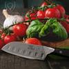 Dalstrong Santoku Knife – 7 inch – Shogun Series – Damascus – Japanese AUS-10V Super Steel 67 Layers – Black G10 Handle – Vegetable Knife – Vacuum Treated – Kitchen Knife – Sheath Included(Black Handle)